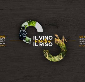 Nascono le Rice&Wine Tasting Experience: il 24 e il 26 giugno nelle Langhe e a Vercelli