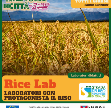 Rice Lab, dal 29 maggio al 2 giugno